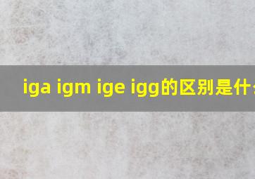 iga igm ige igg的区别是什么